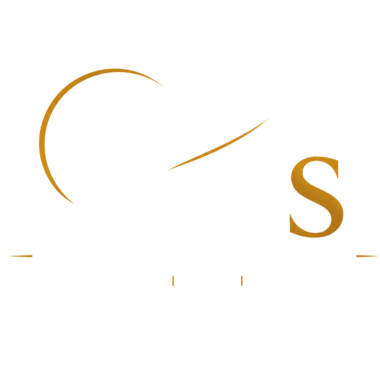 MMS Logo